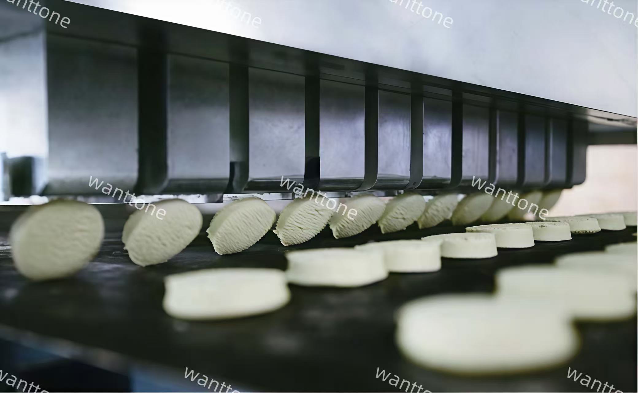 Wire Cut Cookie Machine